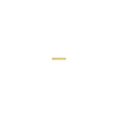 DCN890 Nagels - 15mm x 2,6mm - Afbeelding 2