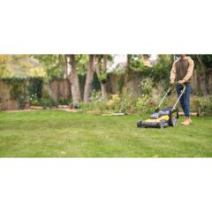 Ecomm Large SFMCMWS251M A2