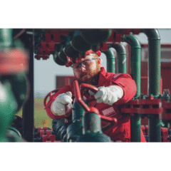 01020065 PALLIDA dreamstime xxl 198356462.tif