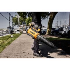 Ecomm Large DCMBL777B A2
