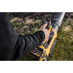 Ecomm Large DCMBL777B F1