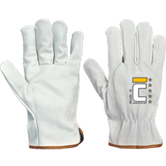 PALLIDA hs leder-blister